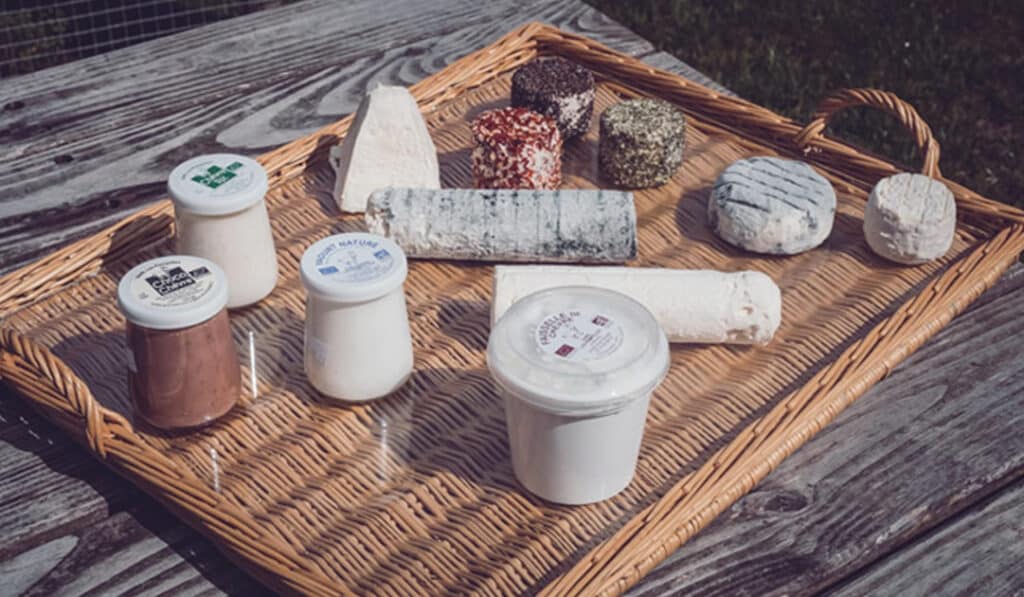 Fromagerie de chèvres BIO – Ferme Les Pampilles
